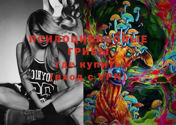 скорость Белокуриха