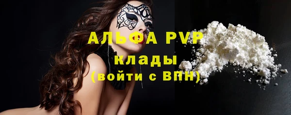 сатива Строитель