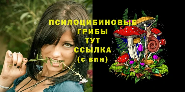 сатива Белоозёрский