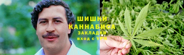 сатива Белоозёрский