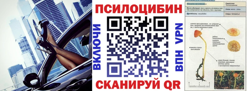 Псилоцибиновые грибы мицелий  Котлас 